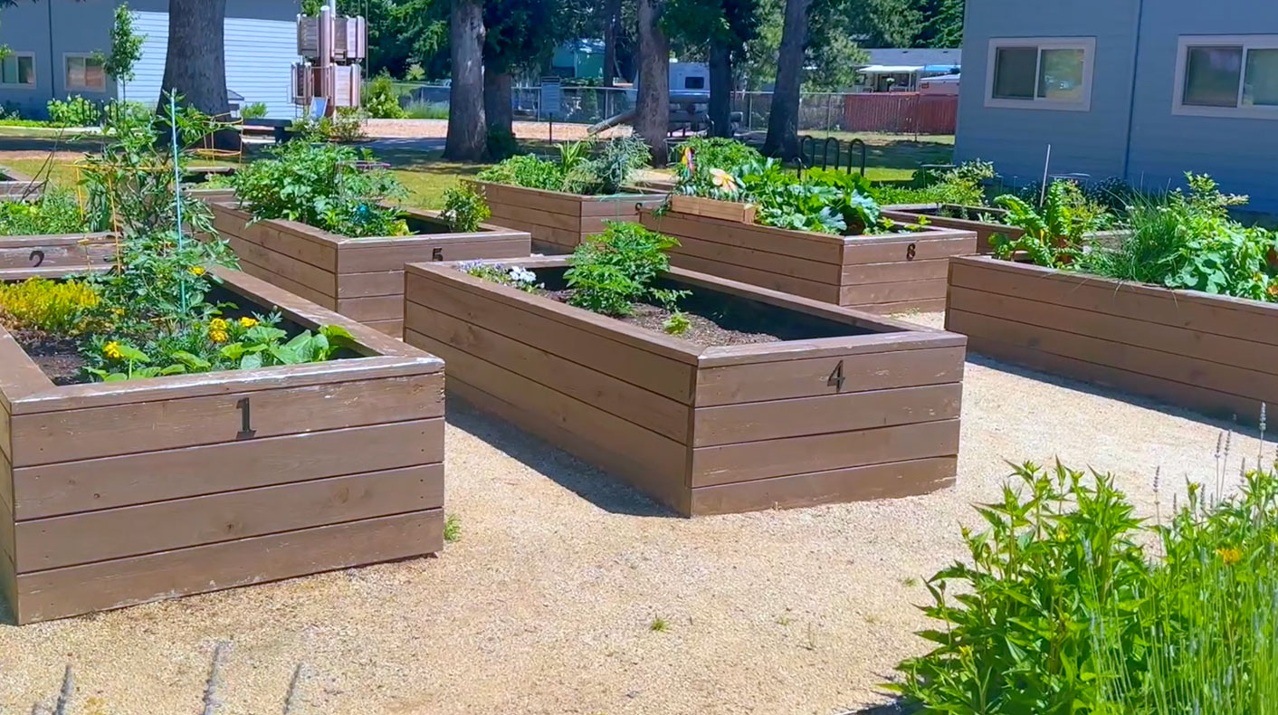 Raised bed gardens for local residents