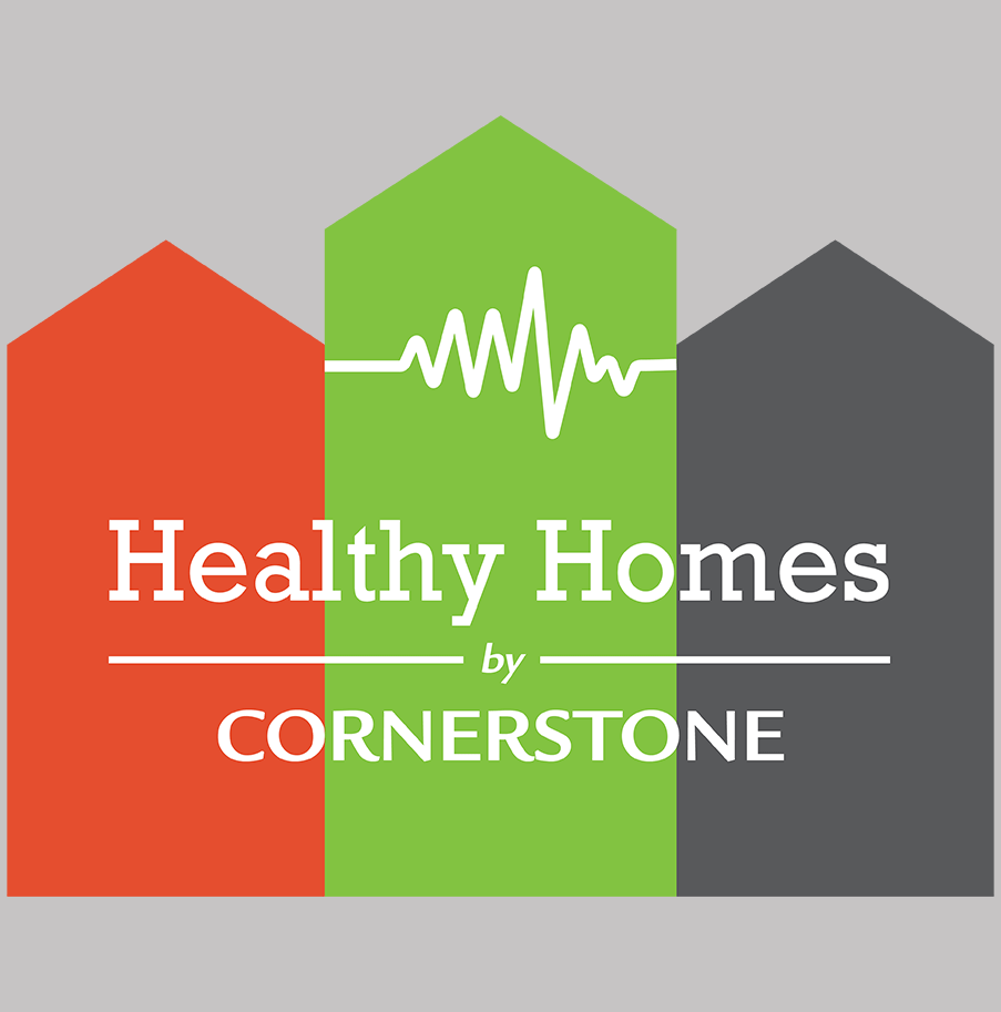 Healthy Homes Logo